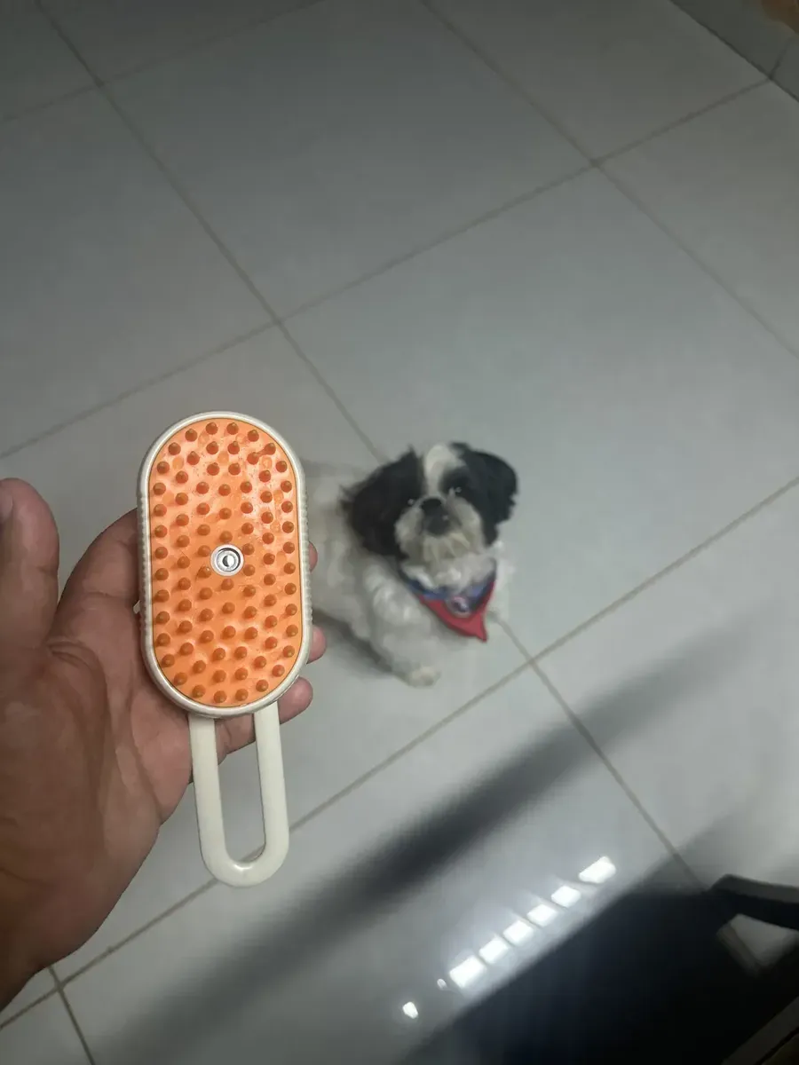 Foto enviada por Mariana